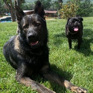 Meet your Posher, Tiffany